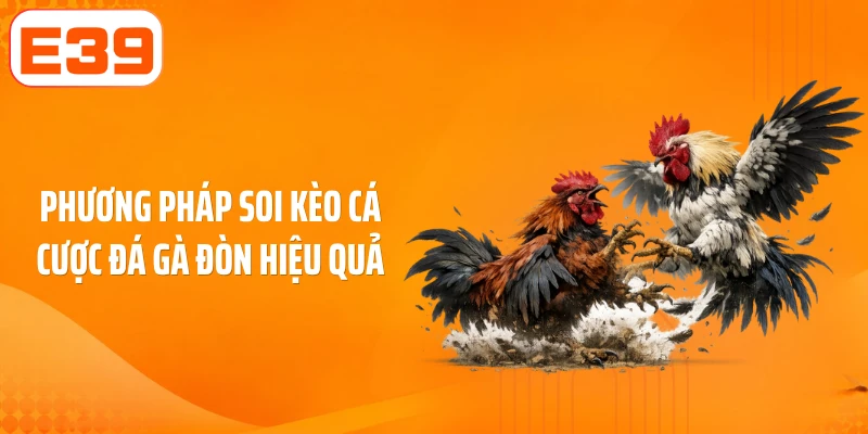 Phương pháp soi kèo cá cược đá gà đòn hiệu quả